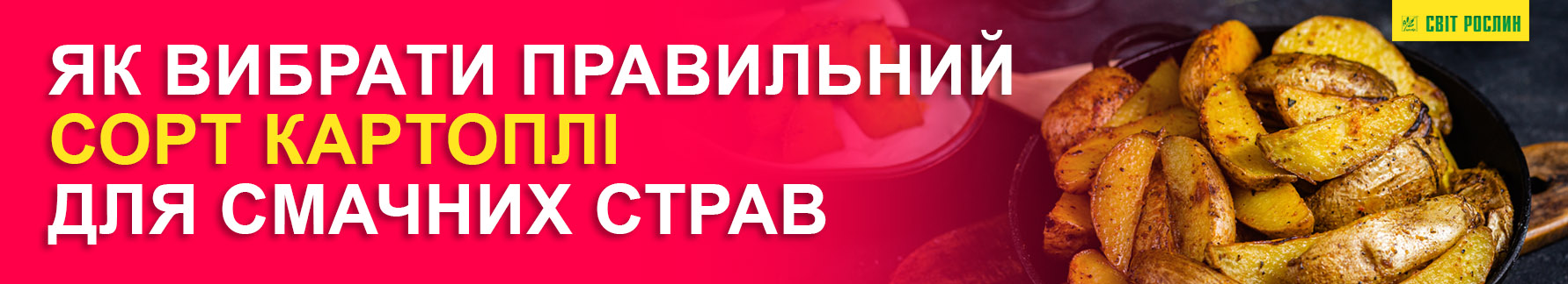 Как выбрать правильный сорт картофеля для вкусных блюд Какой сорт картофеля лучше
