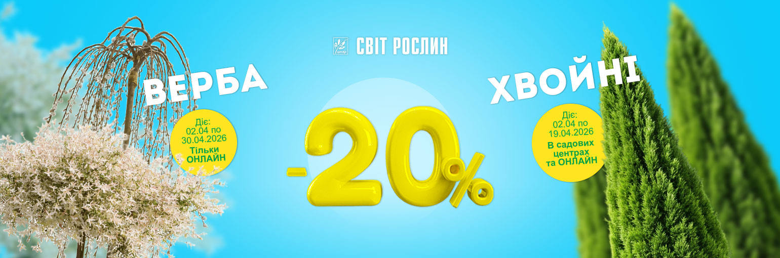 -20% �� ������ �� ����� � ������� ��� �� ����������