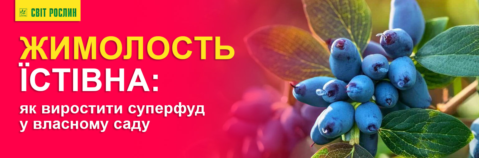 Красота для сада до -50% Красота для сада до -50%