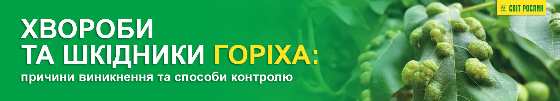Болезни и вредители ореха: причины возникновения и способы контроля Болезни и вредители ореха: причины возникновения и способы контроля