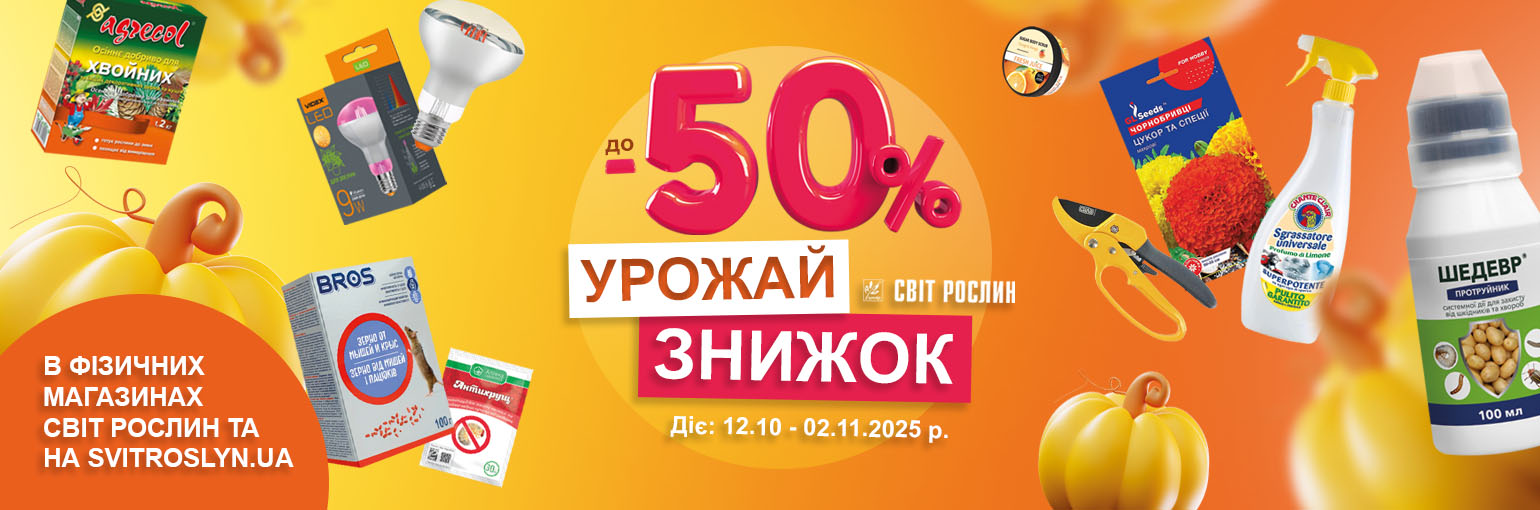    -50%