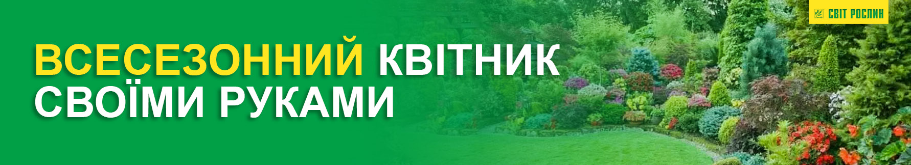 Клумбы непрерывного цветения - схемы с описанием цветов