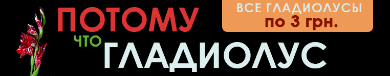 ������ ��� ���������!