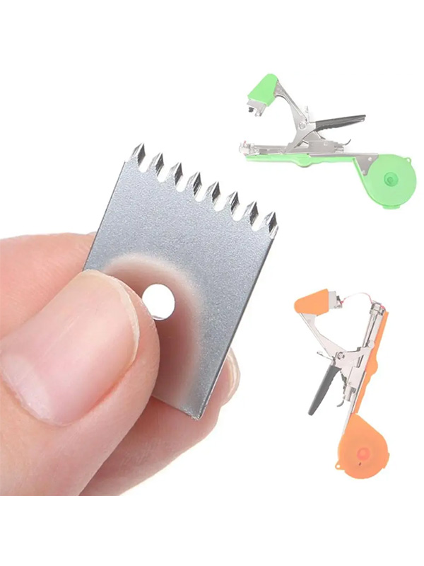 ��� ��� �������� ��� �������� ��������