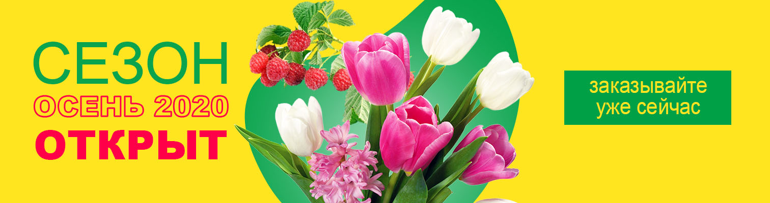 ����� ����� 2020 ������. ������� ���������� �������!