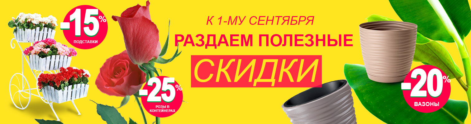 К 1-му сентября раздаем полезные скидки! К 1-му сентября раздаем полезные скидки!