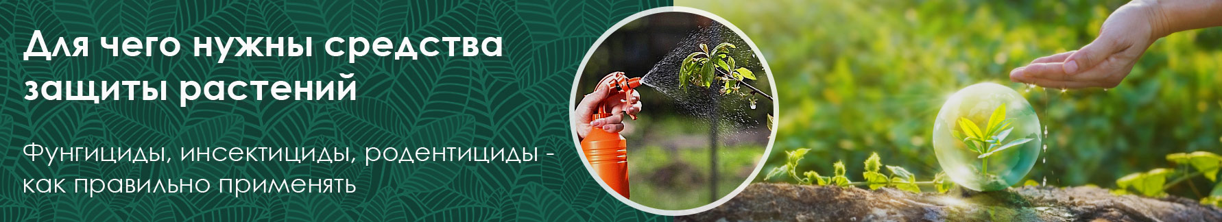 Для чего нужны средства защиты растений Для чего нужны средства защиты растений