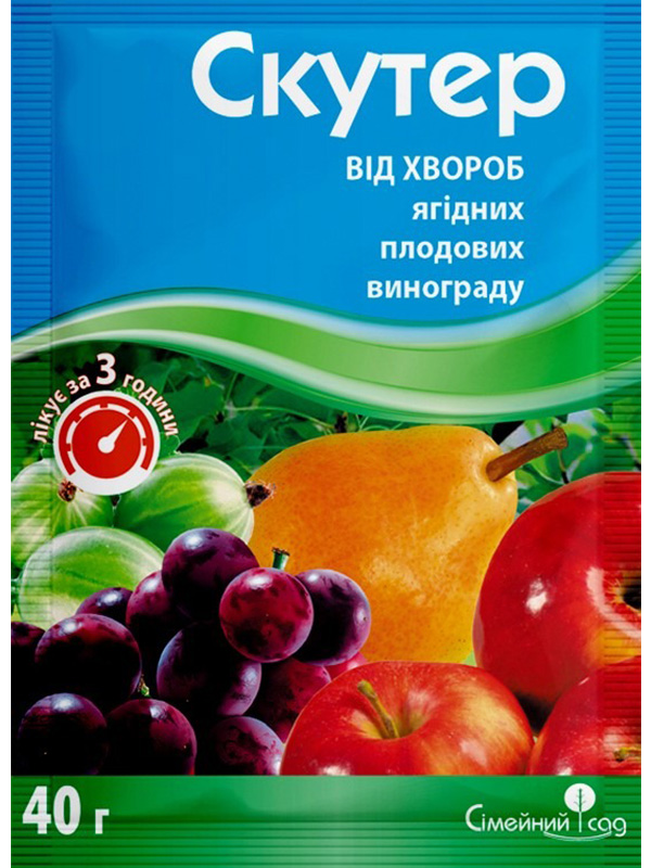 ������� ������ 40 �