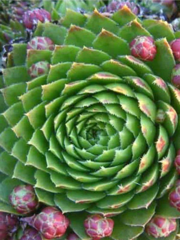 �������� �9