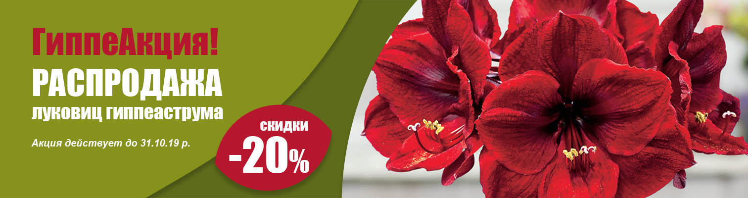 ����������! � 20% �� ��� �������� ������������