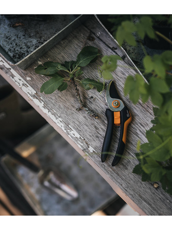 ������� ����������� Fiskars Solid P321 (1057162)