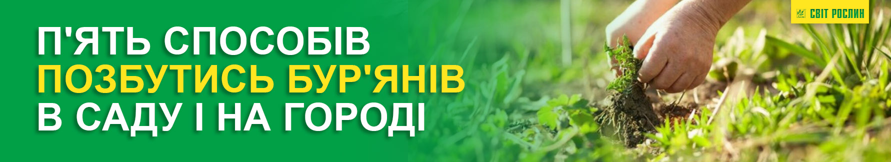 Пять способов избавиться от сорняков в саду и на огороде Пять способов избавиться от сорняков в саду и на огороде