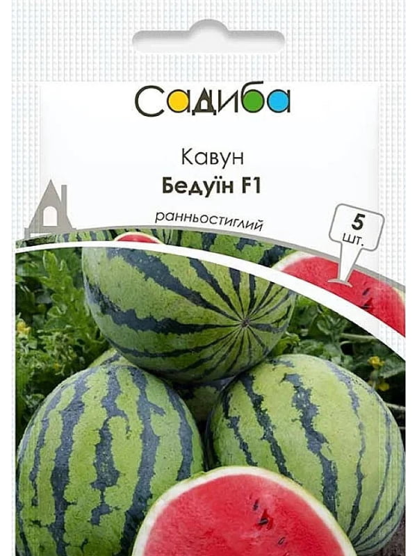 ������ ����� ������ F1 5 ��� ������