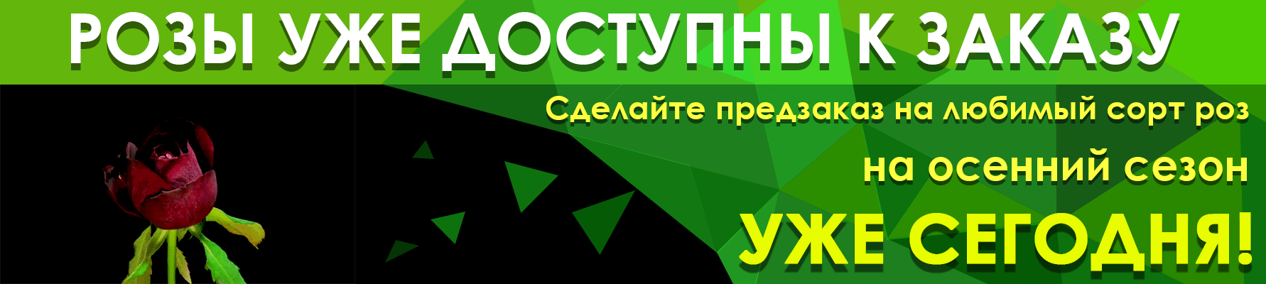 ��������� �� ������� ����������� ��� ��� ���������! 