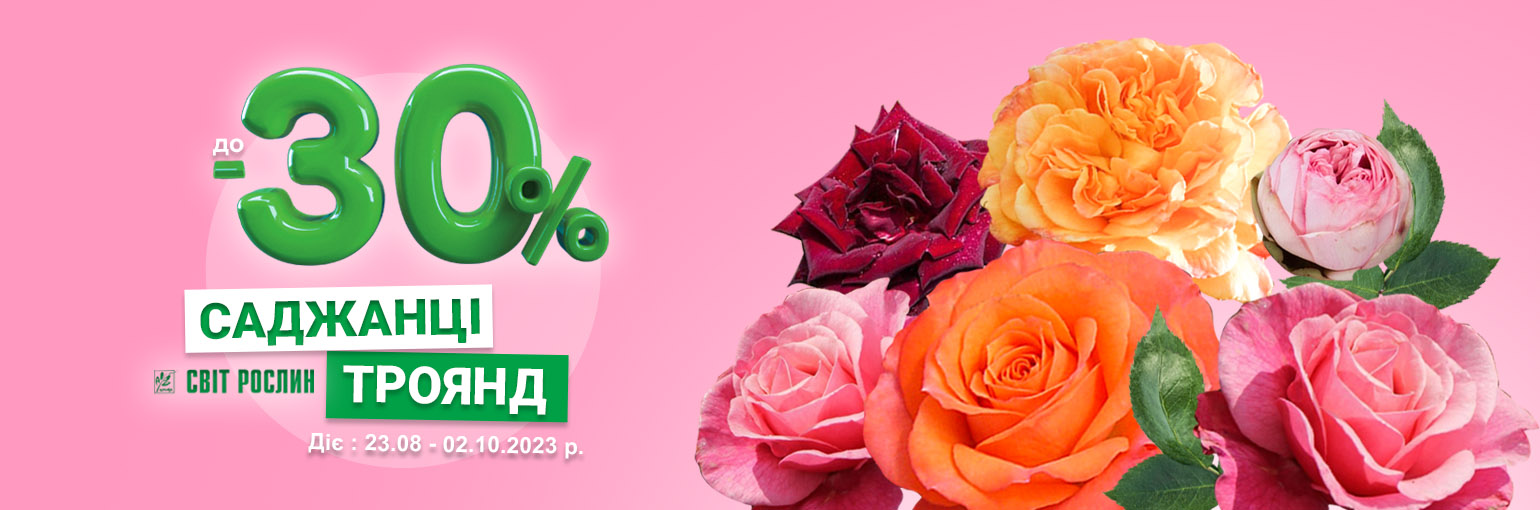 �����! �� -30% �� ������� ���