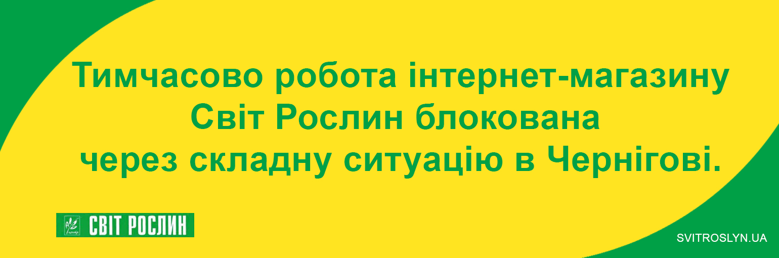 Тимчасово робота магазину блокована Тимчасово робота магазину блокована