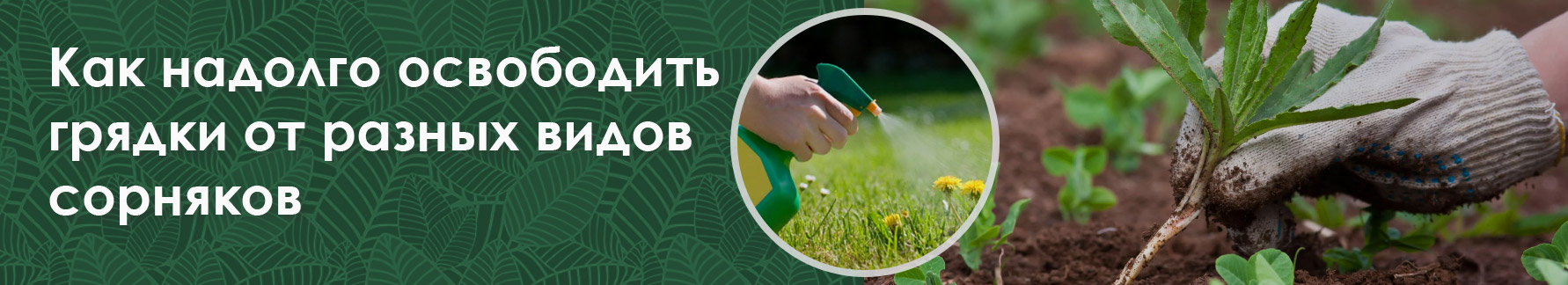 Как надолго освободить грядки от разных видов сорняков Как надолго освободить грядки от разных видов сорняков