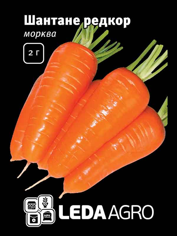 Морковь Шантане Редкор 2 г