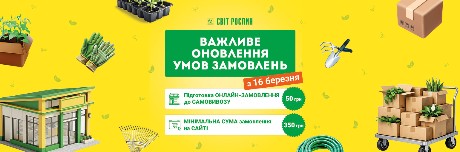 ���������� ������� ������-�������