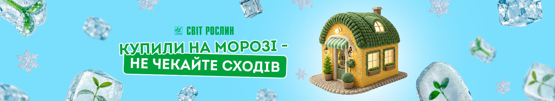 ����� ������� ������ ��� �� �������