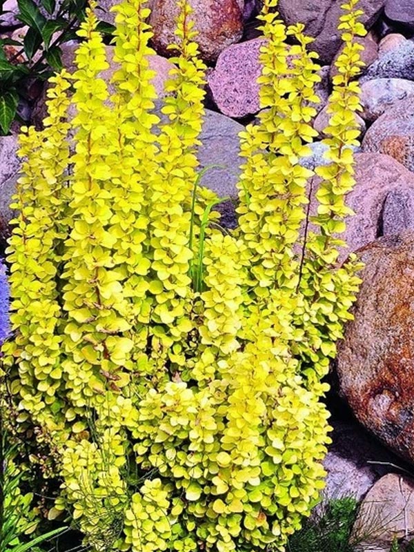 �������� �������� ������ ����� 3 �