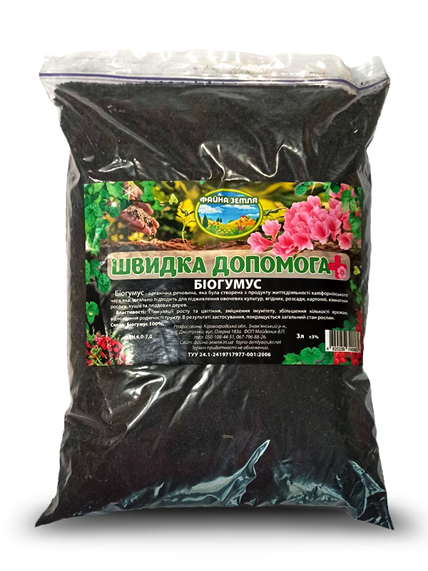 �������� 3 �