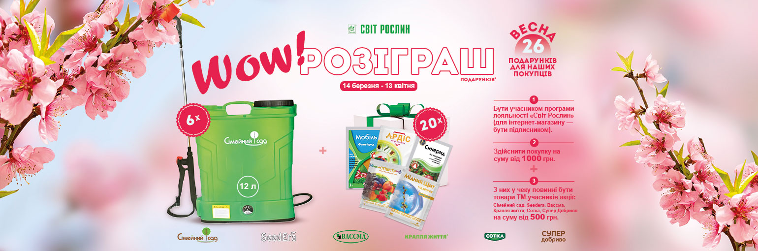 ����� "WOW! �������� ��������" - �������� �������� ����� �����������