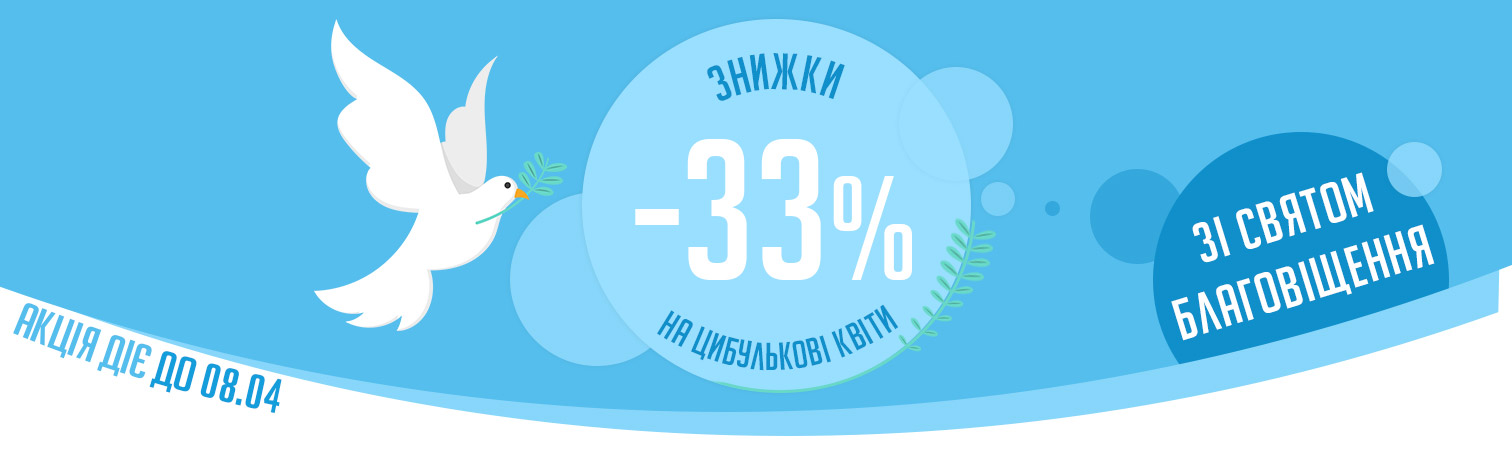 ����� ���� ������ ������ �� �������, ����� ���� ����� ��������