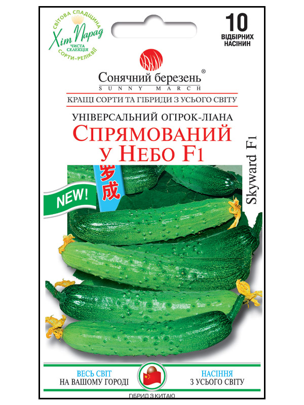 ������ ������ ����������� � ���� F1 10 ��� ��������� ����