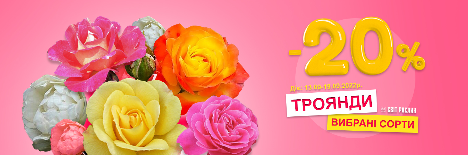 ������� ��� -20%