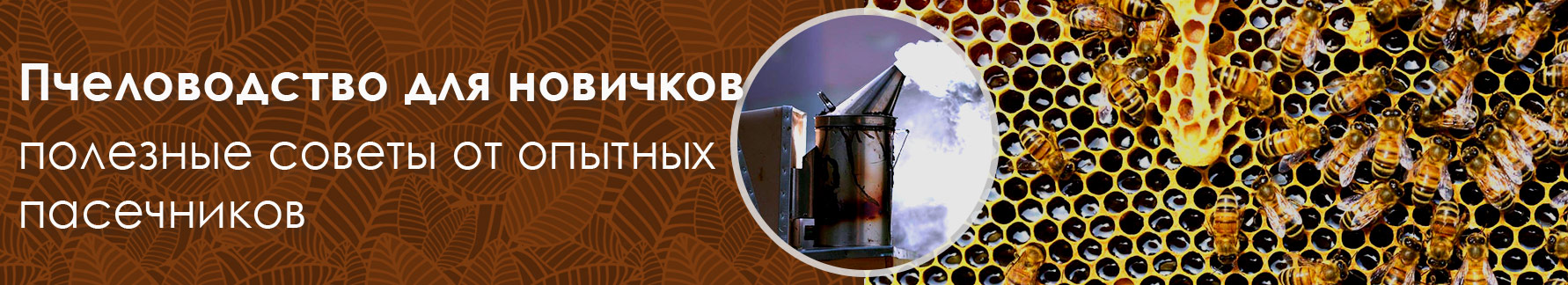 ������������ ��� ��������. �������� ������ �� ������� ����������