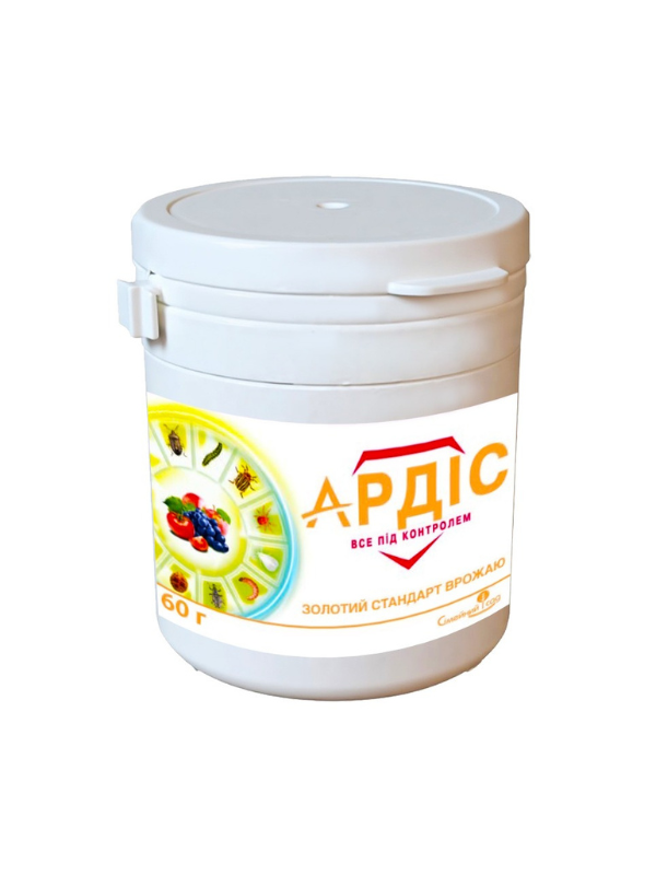 ���������� ���� 60 �