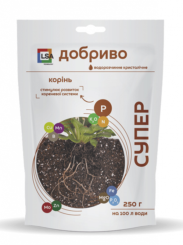 ��������� ������ 250 �