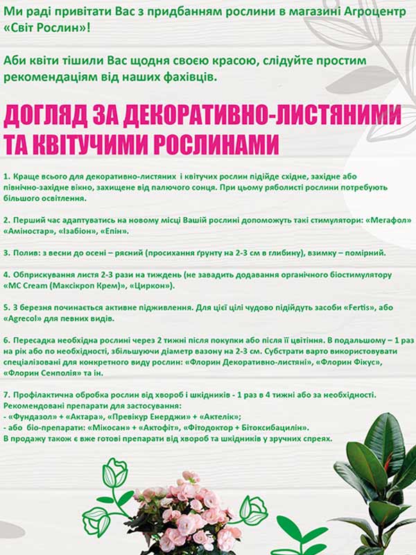 Як доглядати за кімнатними квітами