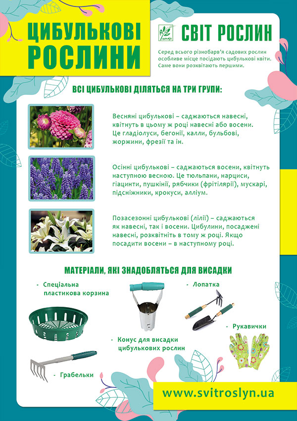 Как посадить луковичные