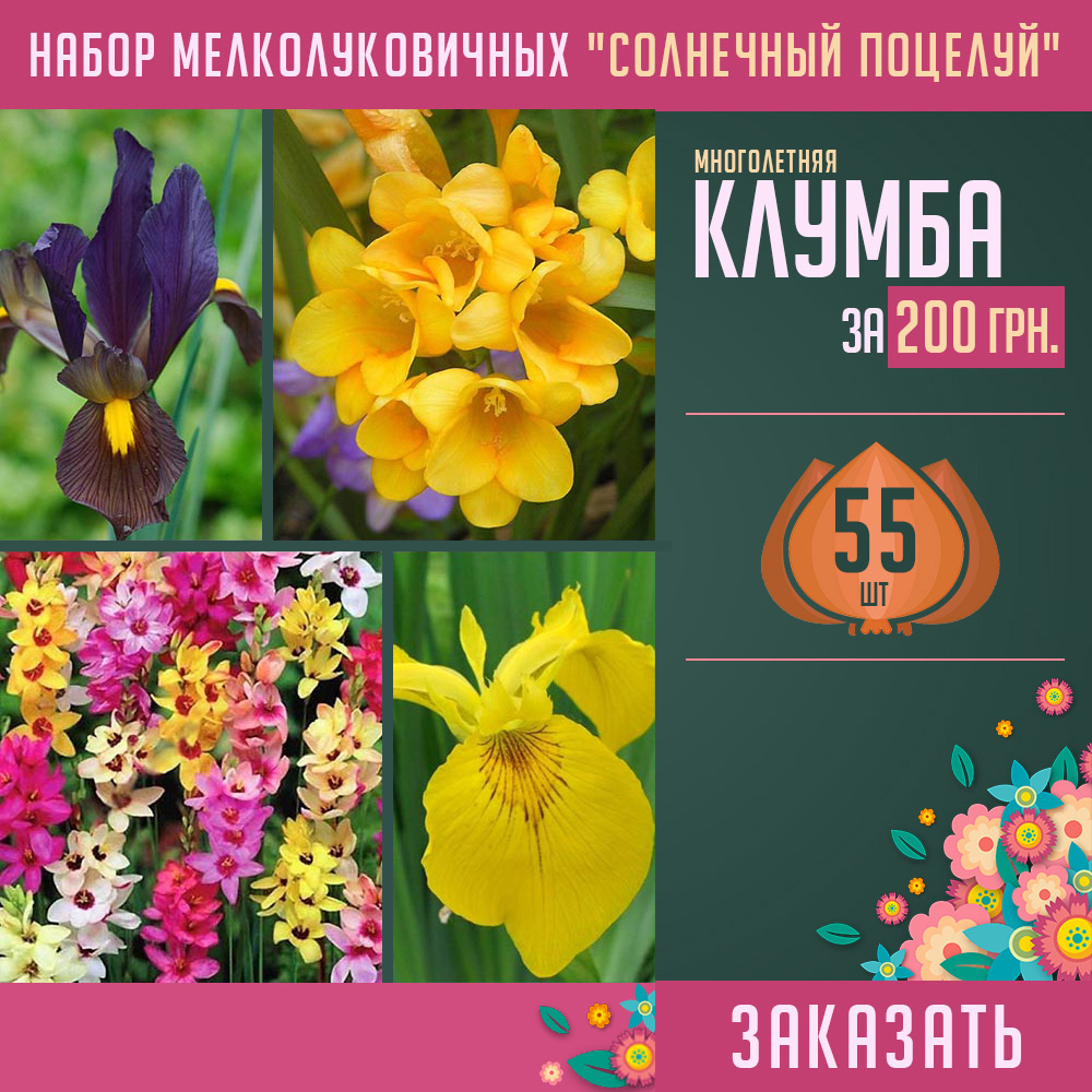 луковицы цветов купить украина