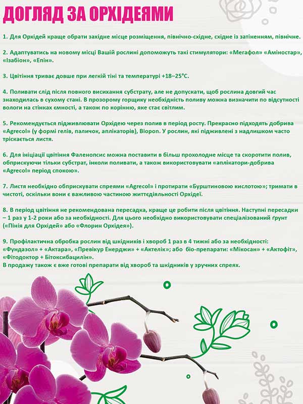Як доглядати за орхідеями