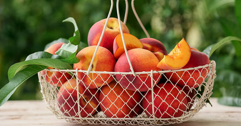 профілактика персиків