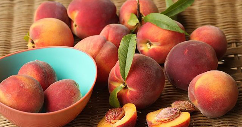 Біопрепарати для захисту персика