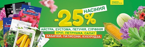 ������ ���������� � ����� � ������� -25%