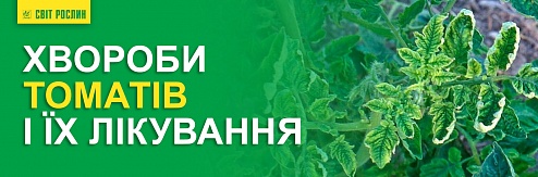 Хвороби томатів і їх лікування