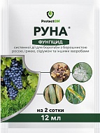 �������� ���� 12 ��