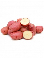 Семенной картофель Рудольф среднепоздний 1 кг