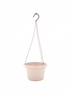 ����� ������ � ��������� 20 �� ����� ����