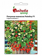 Семена Клубники Ананасной Рейнбоу 10 шт
