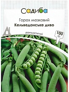 ������ ����� ������������� ���� 100 � ������