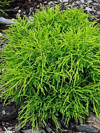 ����������� ������������ �������� ���� 2 �