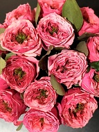 ���� ������ ������ (Country Garden) �����-���������