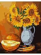       40*50  (954801)