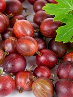 ��������� ������ ������������� ������� 2 ���� 3 � 